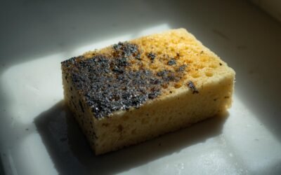 Why Kitchen Sponges May Be the Dirtiest Thing in Your Home