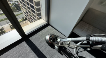 Family-friendly home scene with cleaner treating carpet stains while pets are naturally present in the space