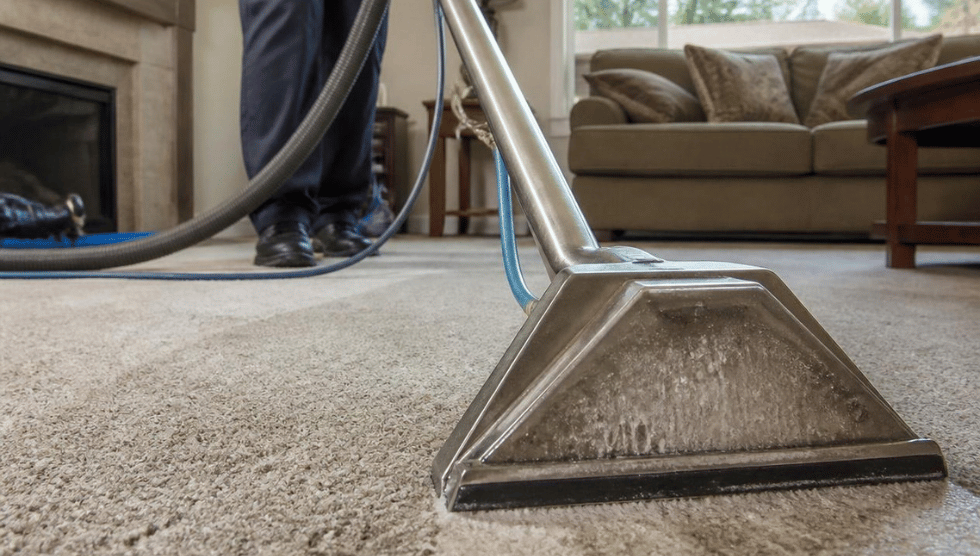 Elegant scene featuring decorative rug cleaning in an upscale, sophisticated home interior